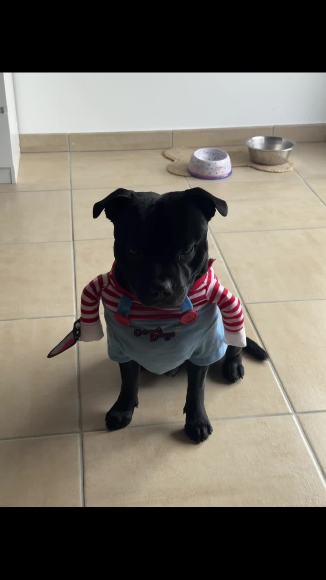 @staffie.young.tao