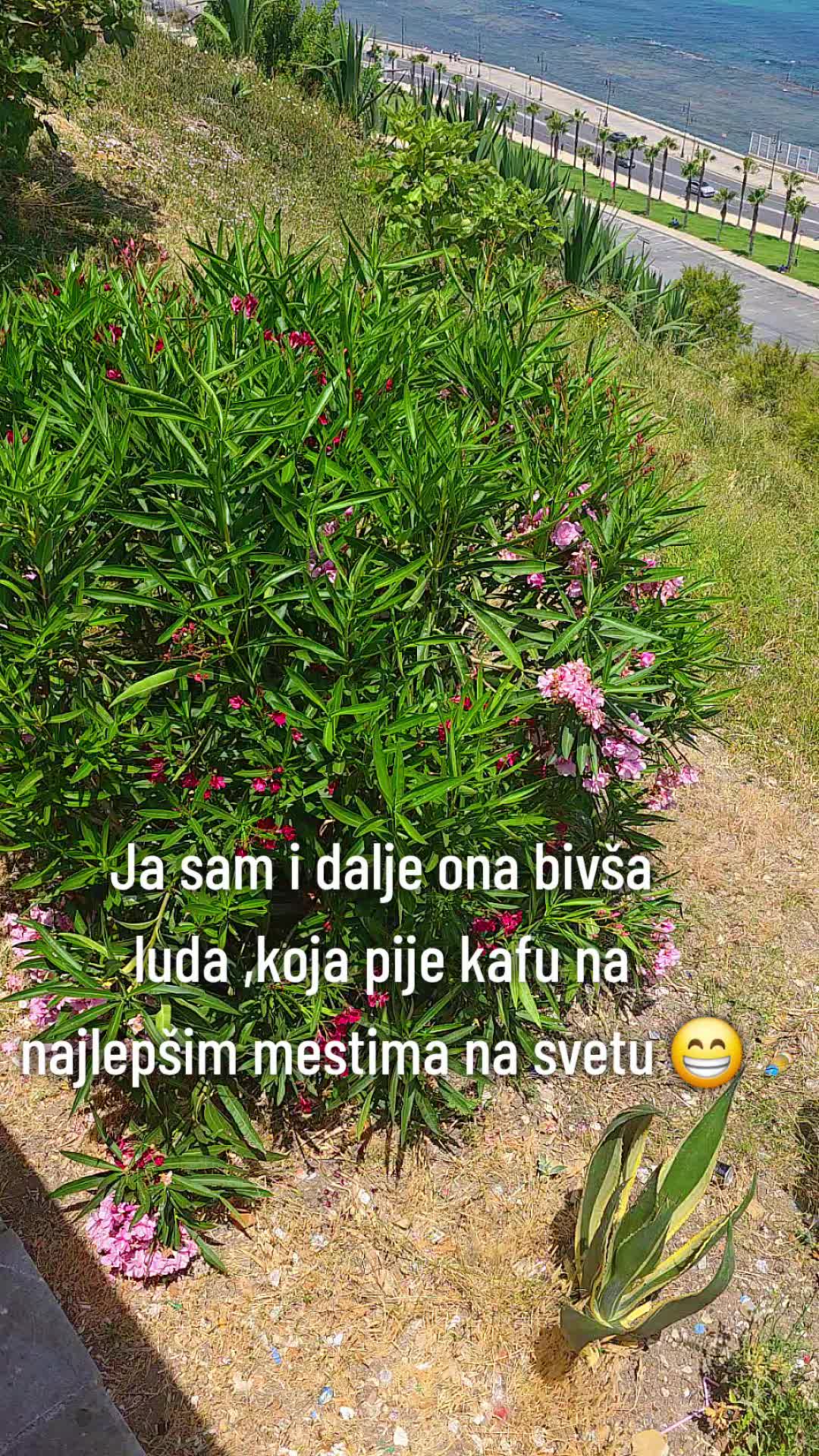 @✈️solo igračica✈️ 🥇 &reg;️