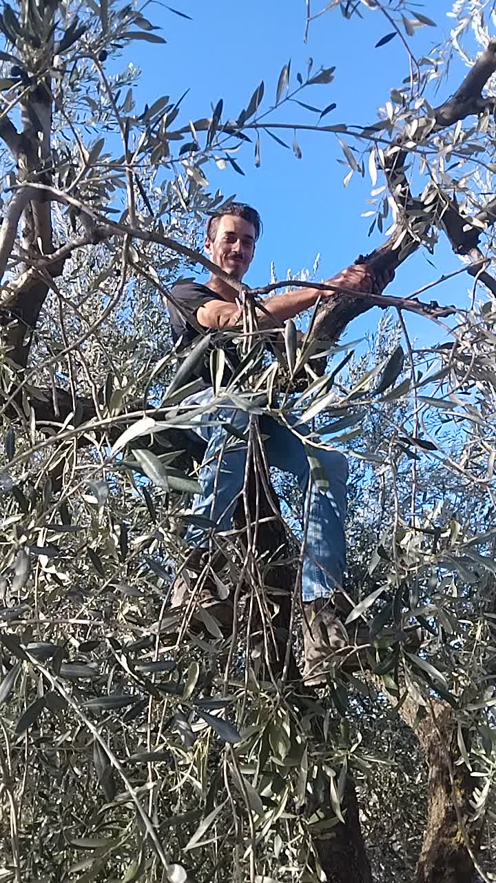@fabio