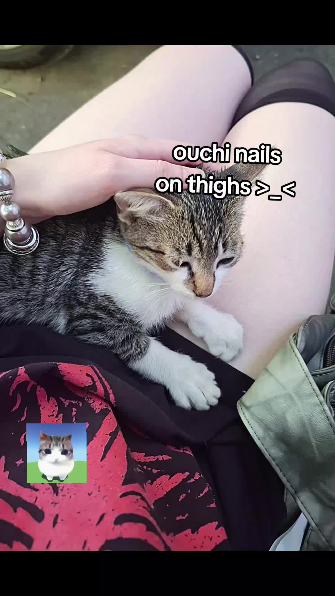 @𝓹𝓸𝓻𝓬𝓮𝓵𝓪𝓲𝓷 𝓴𝓲𝓽𝓽𝔂