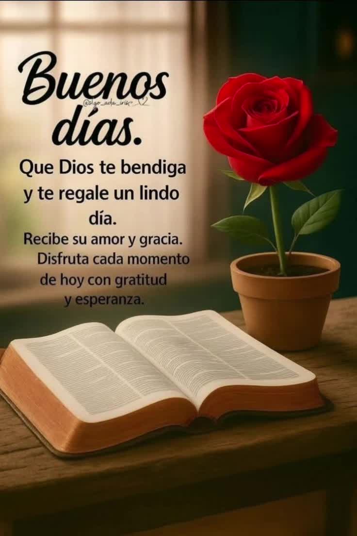 @Alma Bonilla