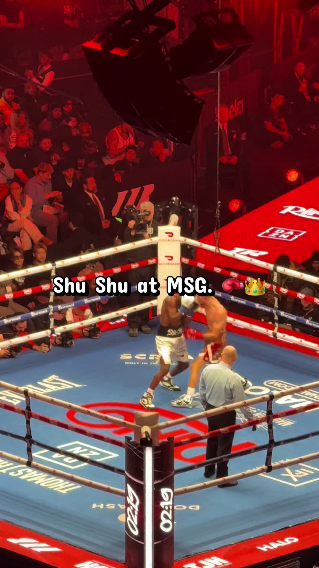 @macleodpittsboxing