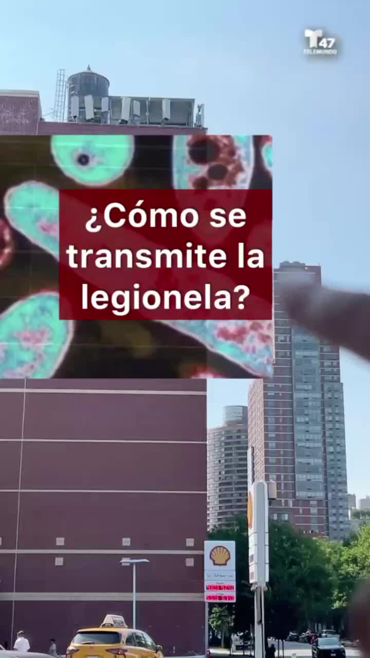 @Telemundo47