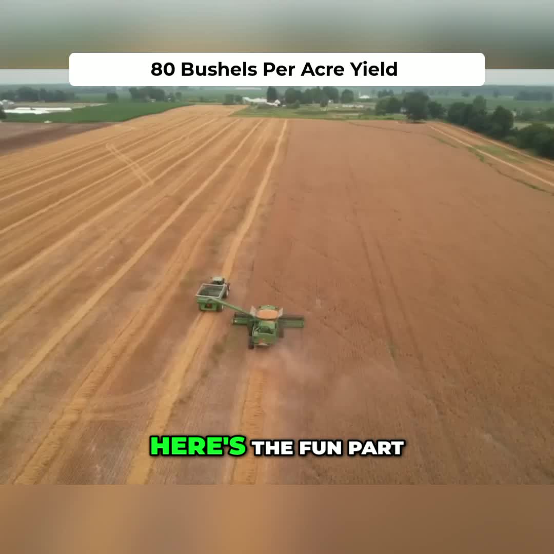 @Kip Siegler Farming