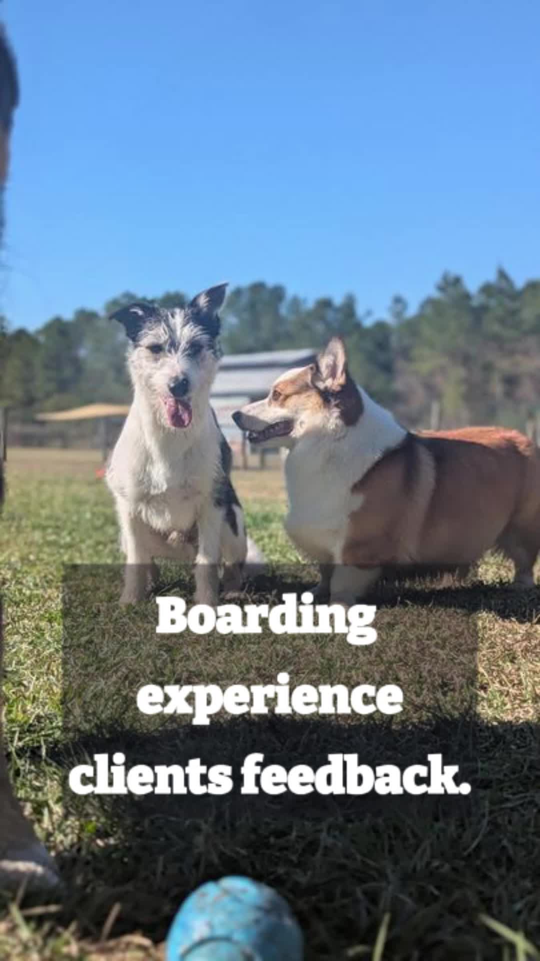 @Barks & Wildlife Longville LA