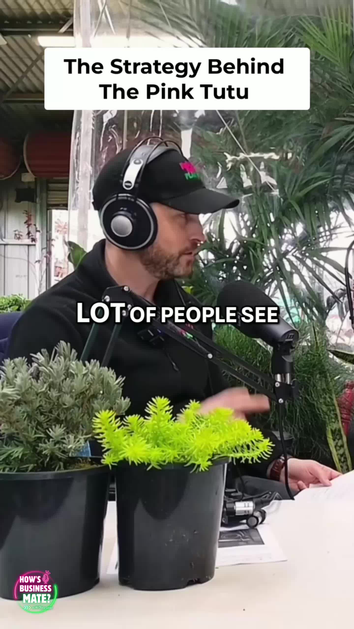 @Hello Hello Plants Nursery