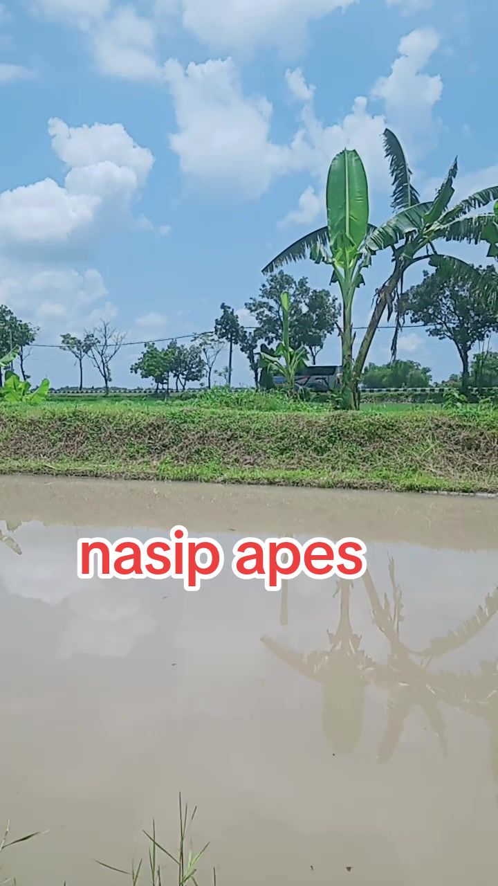 @Nano Ngawi