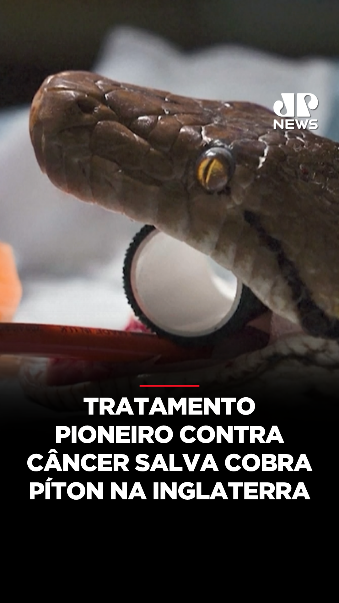 @Jovem Pan News