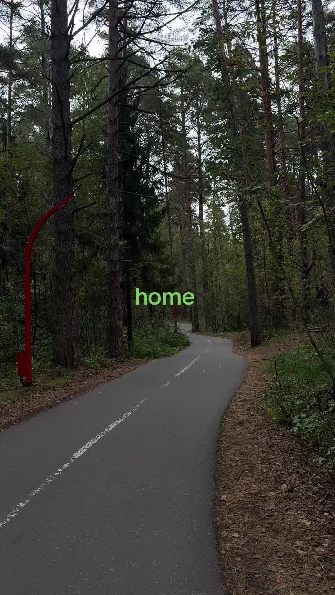 @соня хомскейпс