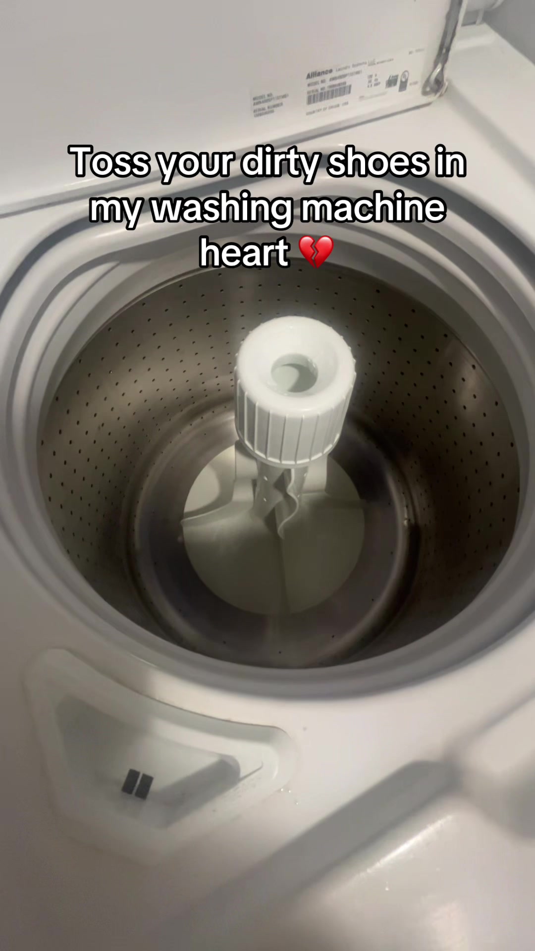 @⋆｡˚꒰ঌ 𝓜𝓲𝓵𝓴𝓼𝓱𝓪𝓴𝓮 ໒꒱˚｡⋆