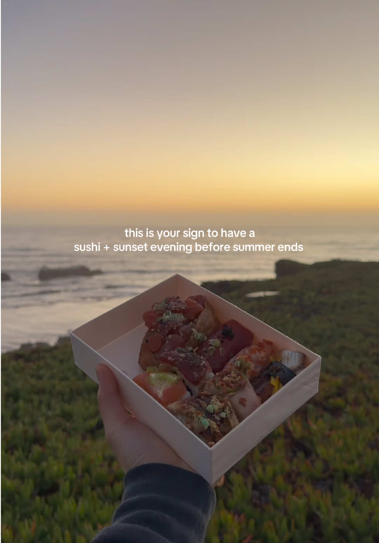 @clover | lifestyle creator