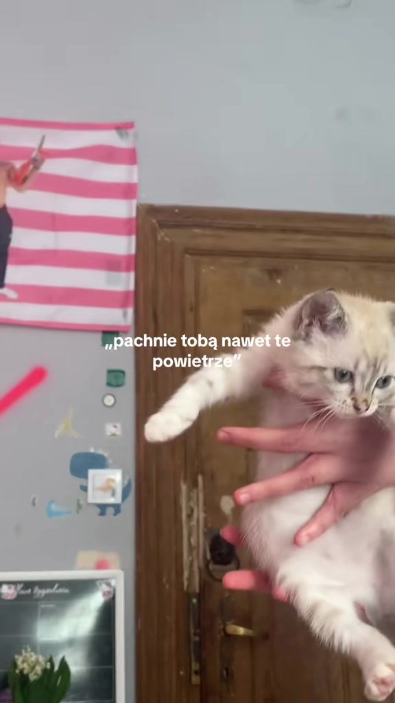 @່ ❦