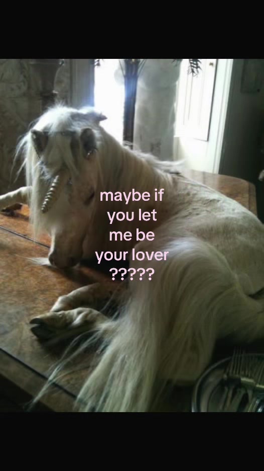 @claire