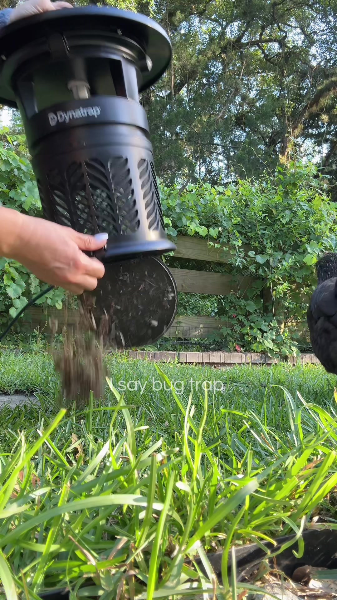 @ℂ𝕙𝕚𝕔𝕜𝕖𝕟𝔹𝕠𝕩𝔽𝕠𝕩💫