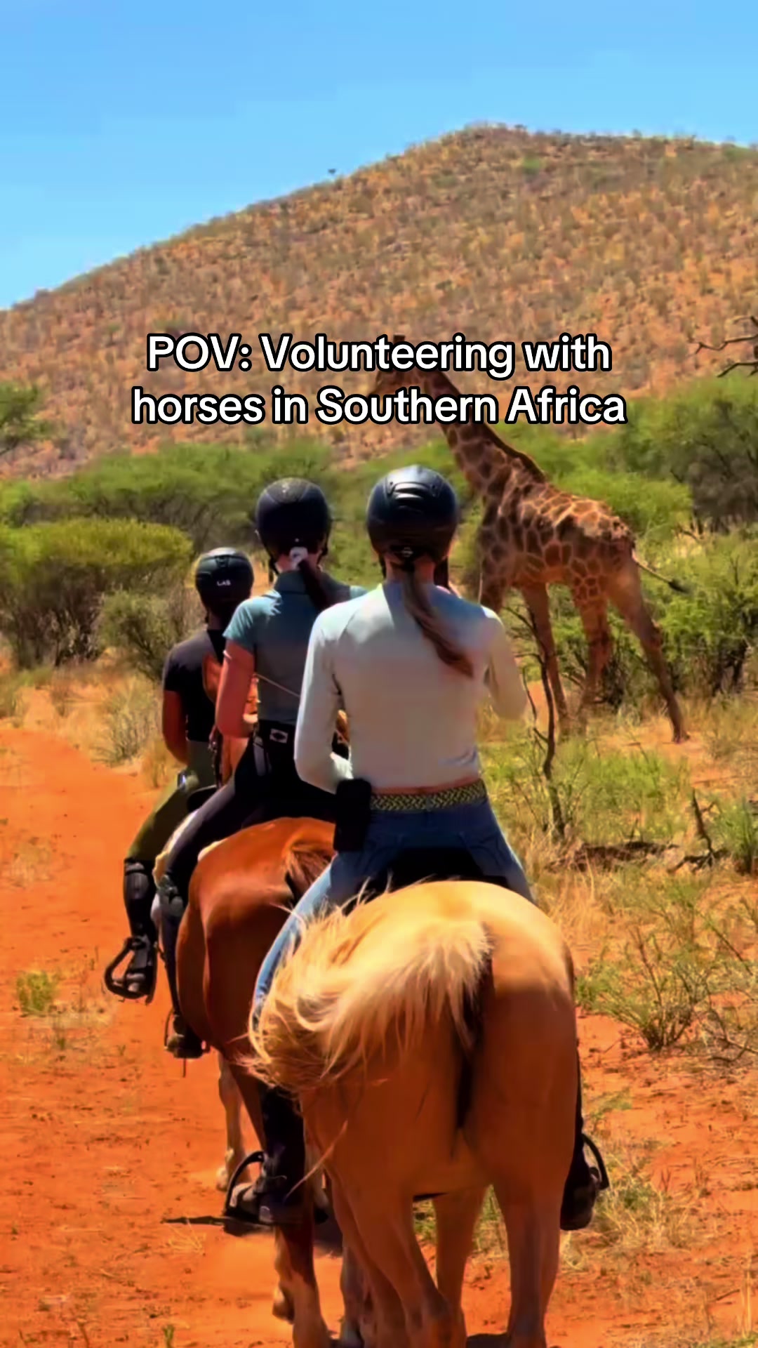 @Hoof & Travel 🐴🌍🐘