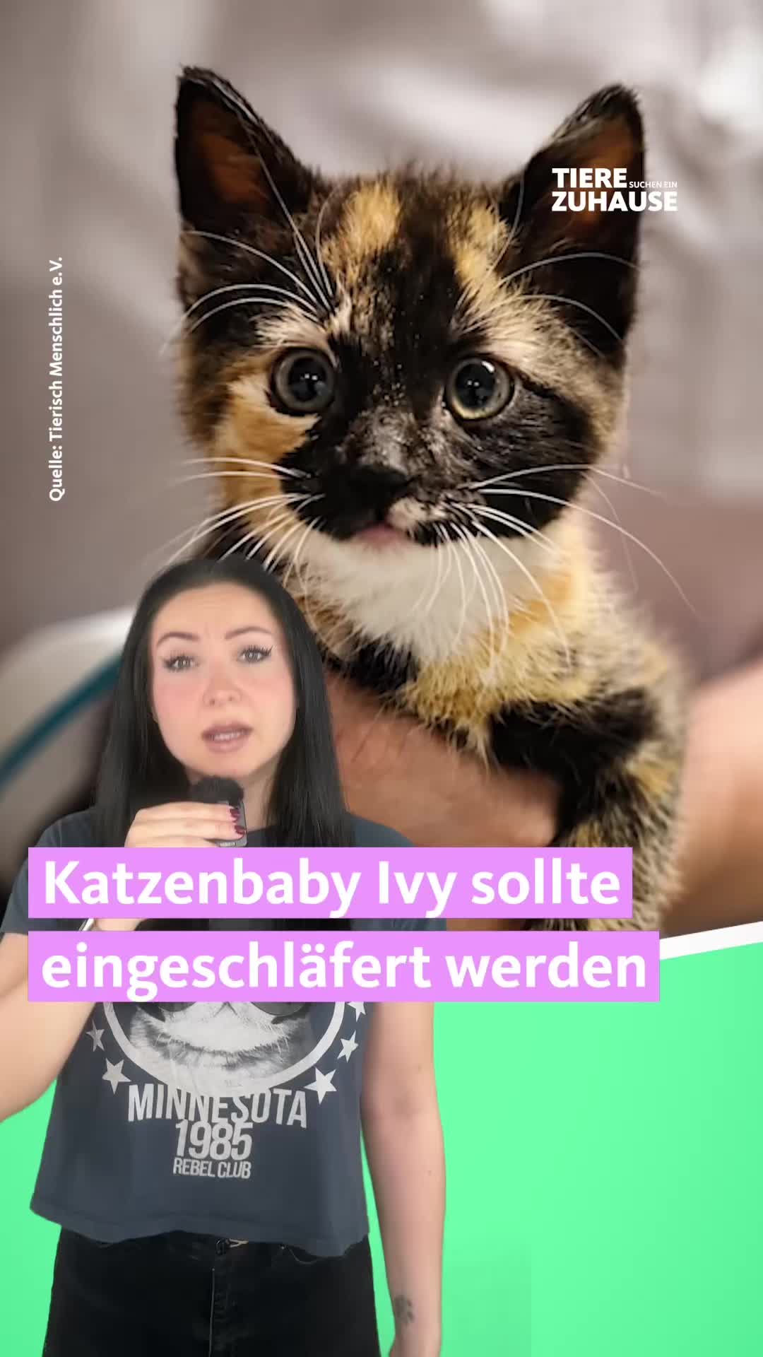 @Tiere suchen ein Zuhause