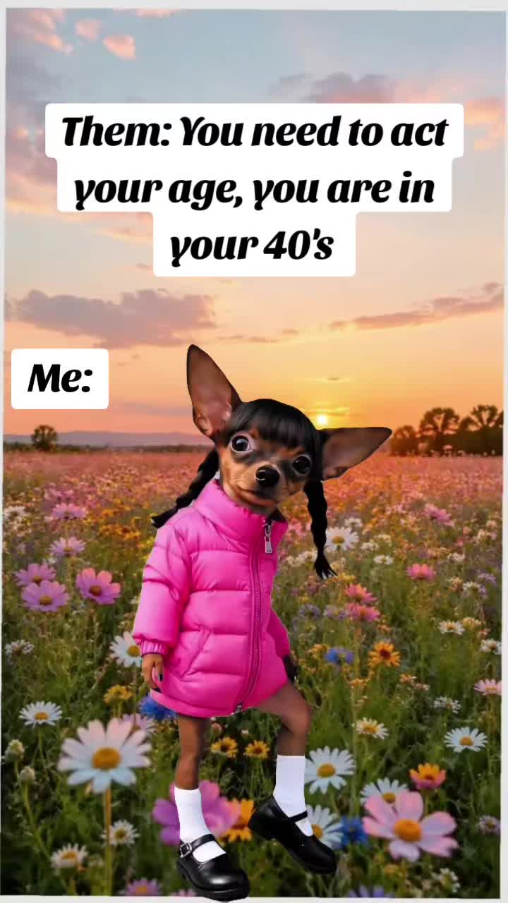 @Ann Ferg 🪿🎀 🌻