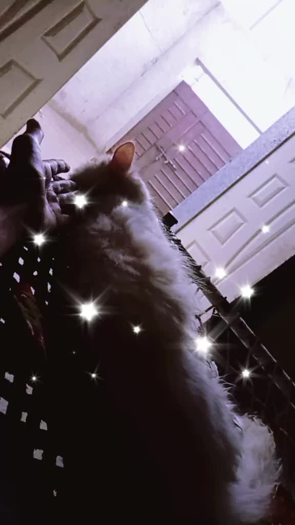 @࿇♥𝕄𝕒𝕙𝕚♥࿇