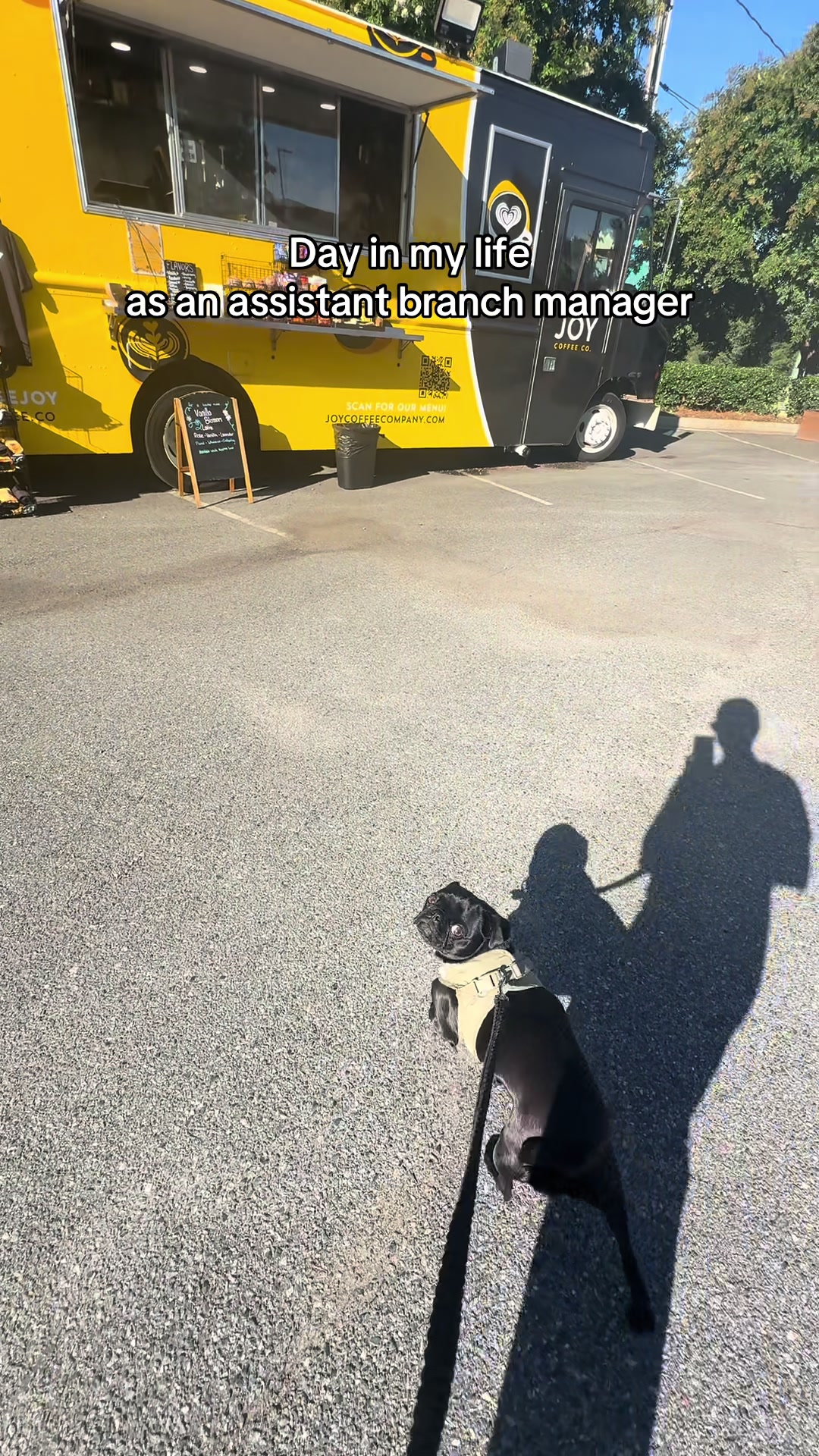 @SirEdmundThePug