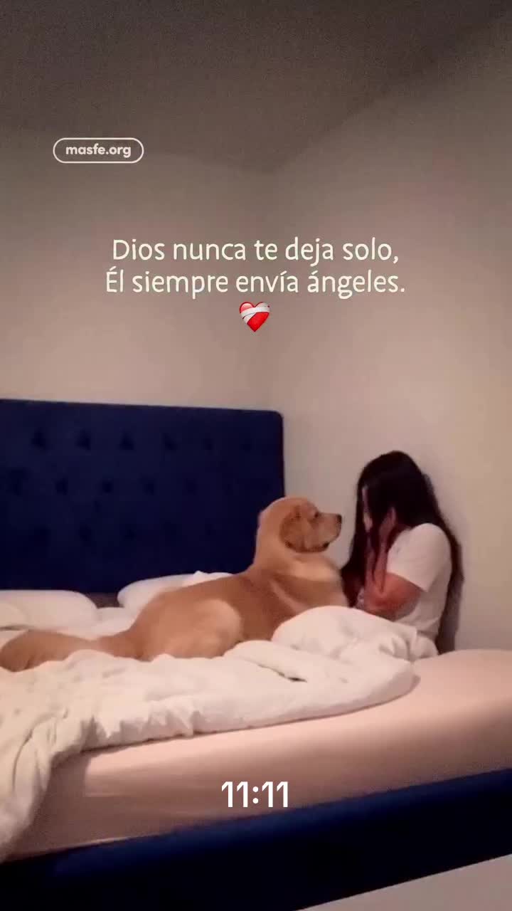 @Papi Vic🐅🇲🇽🍦❤️&zwj;🔥🐆11:11✨
