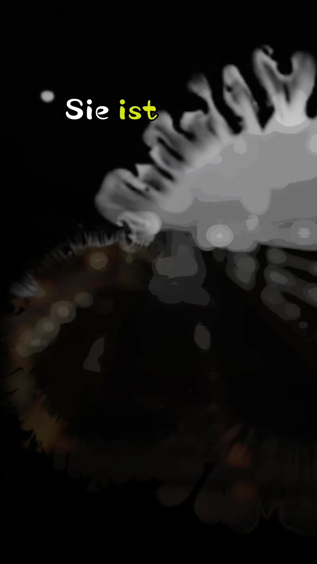 @─❀Ꮇ͓̽Ꭿ͓̽Ꮑ͓̽Ꮼ͓̽Ꭼ͓̽Ꮮ͓̽Ꭺ͓̽❀─