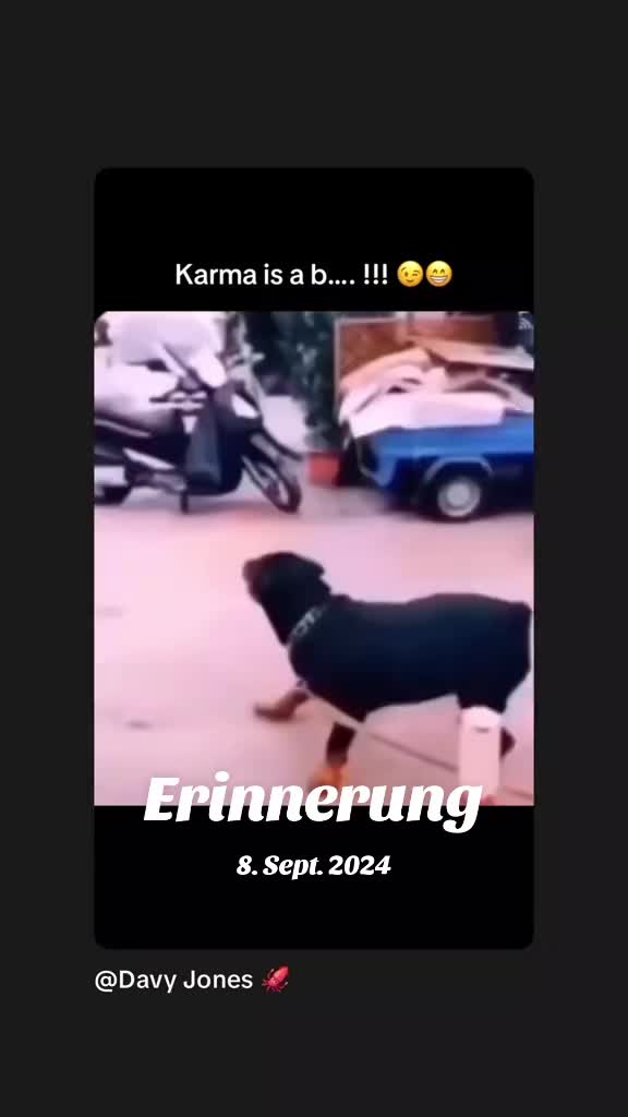 @kaikomusic.official