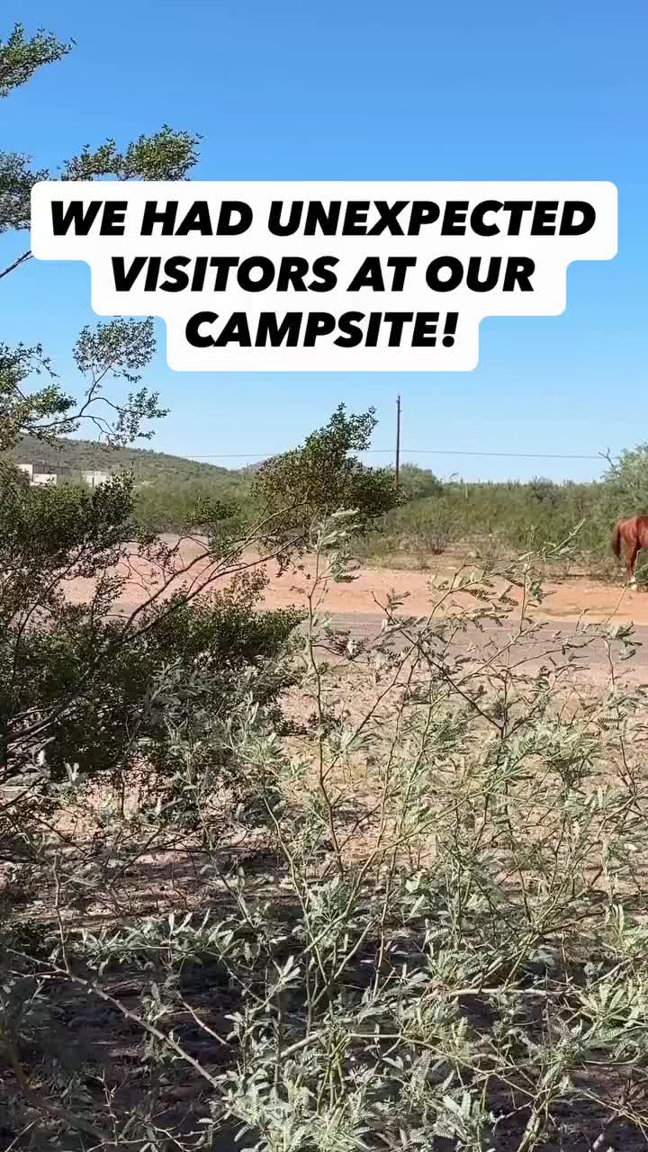 @Endless RVing