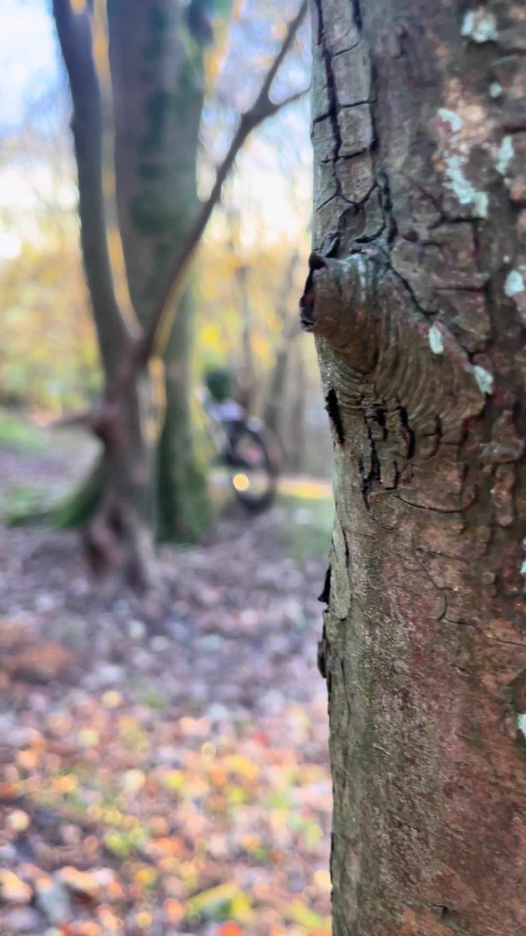 @harry 🚵♂️👍