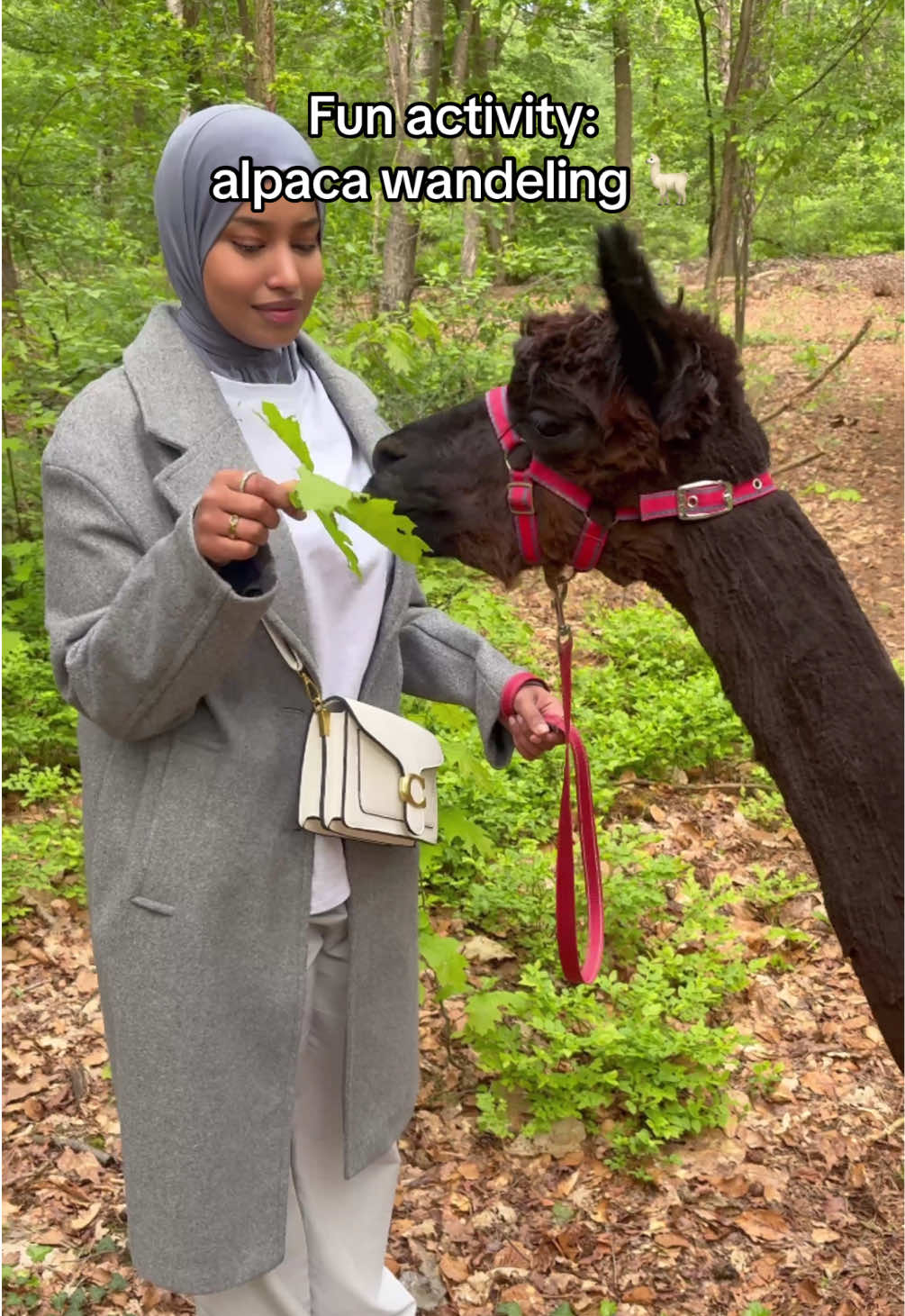 @Samira Mubarak