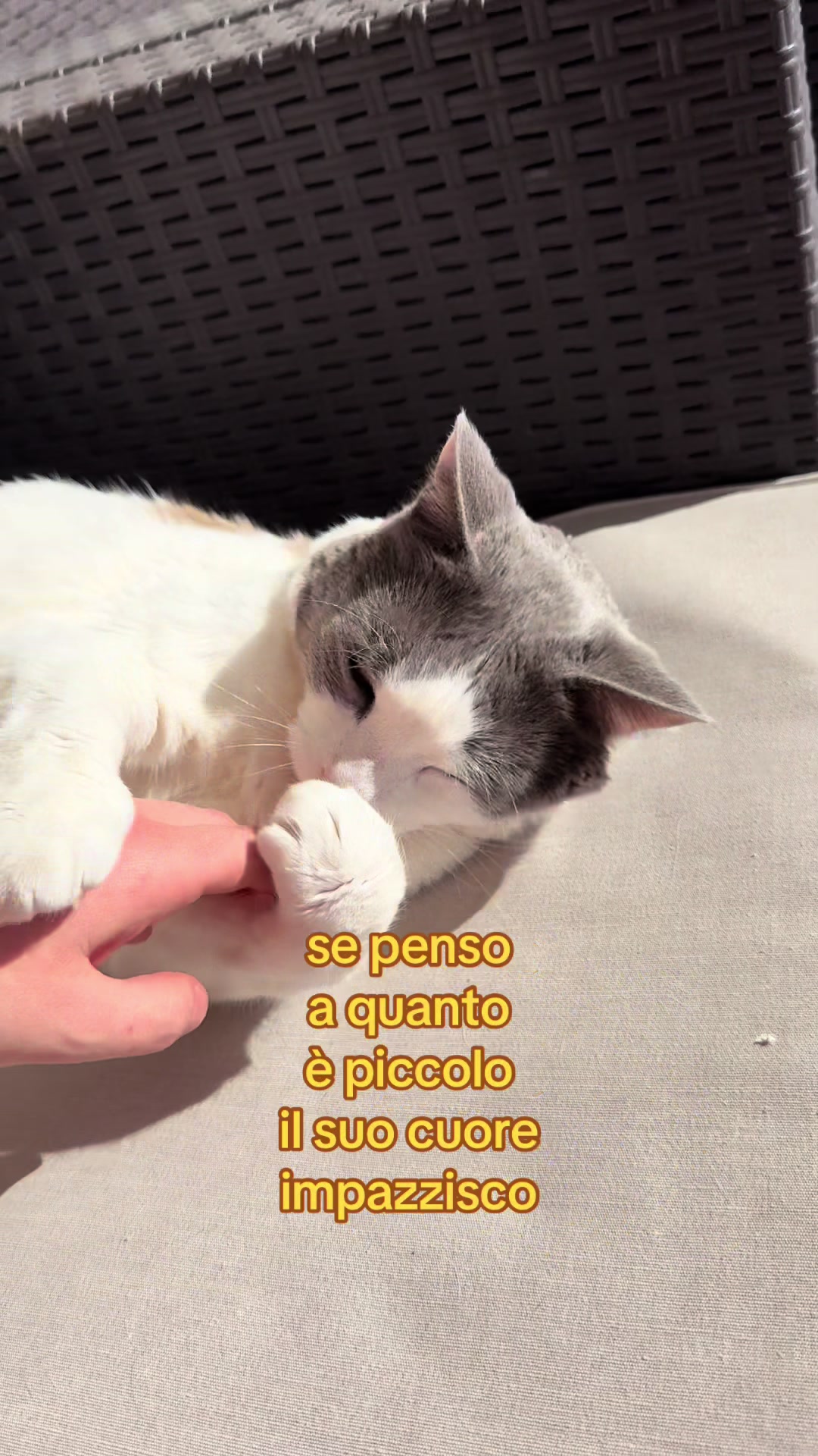 @ele