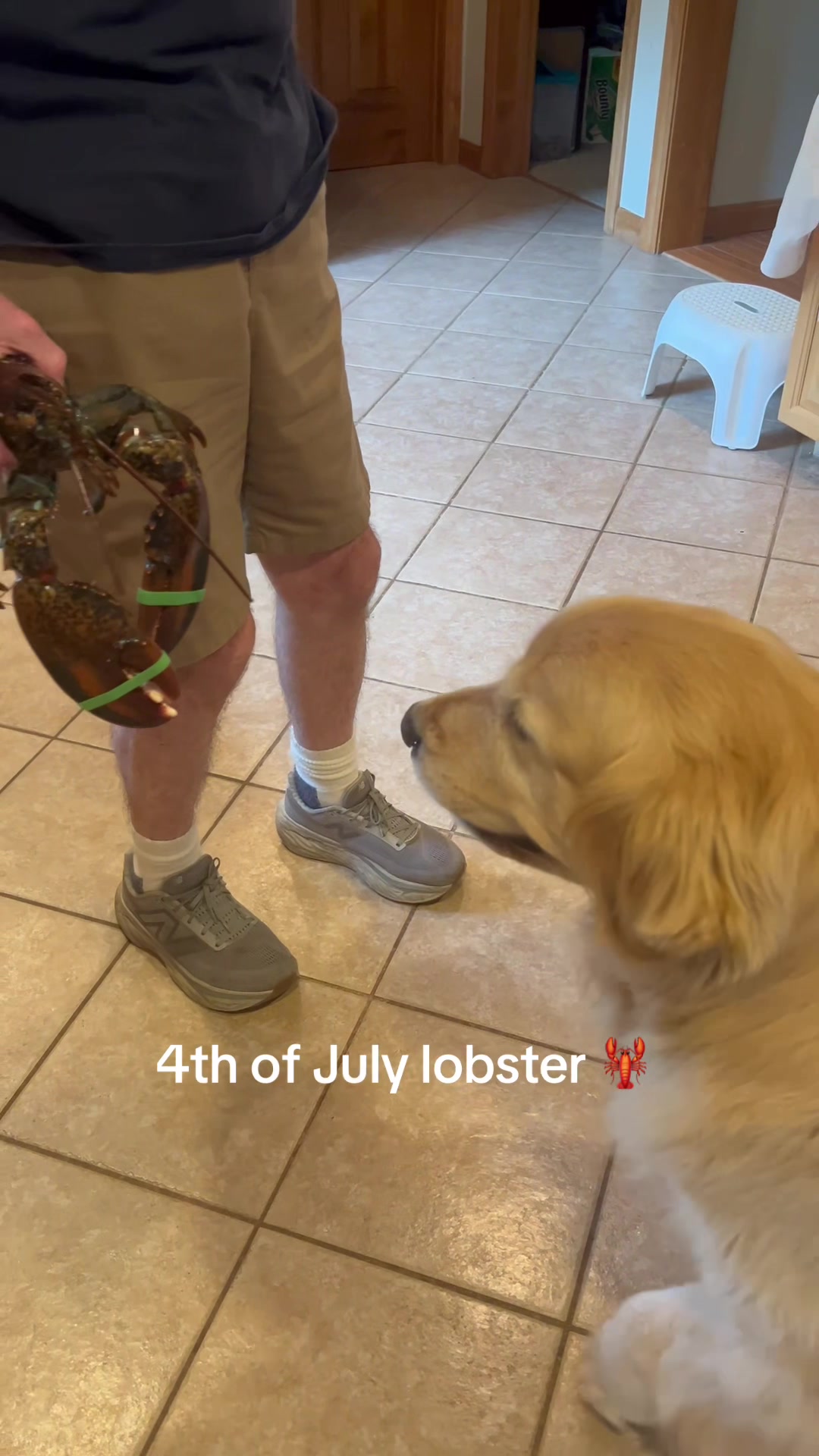 @Kody the Golden