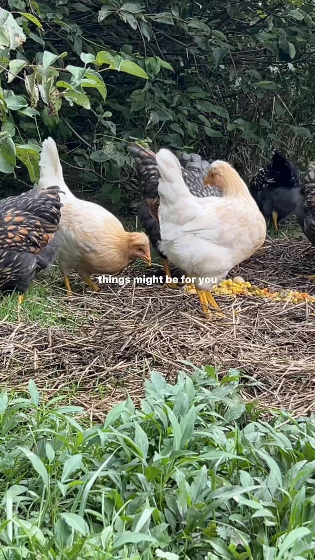 @FishTalesStories