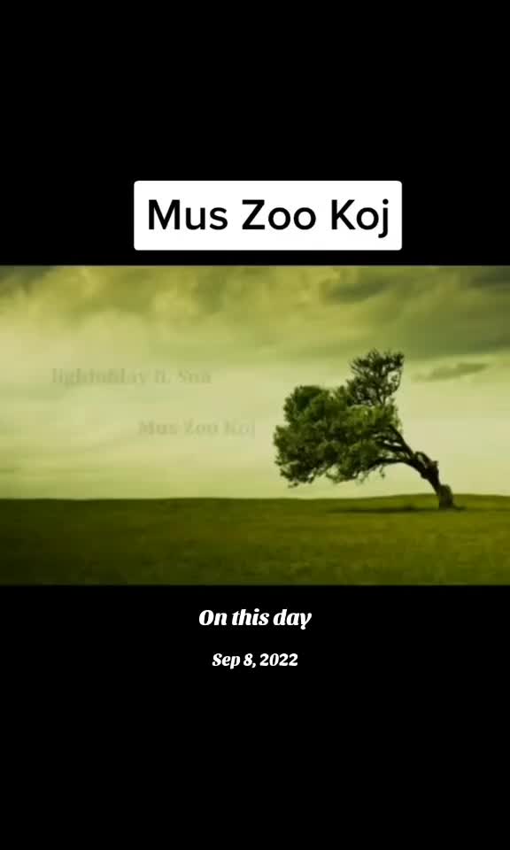 @🌺 Poj Niam Muaj Txiv 🌺