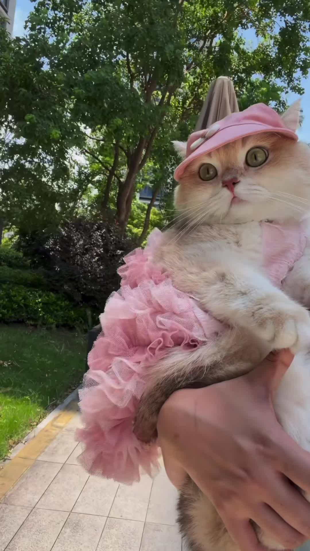 @My Daily Dose of Aww