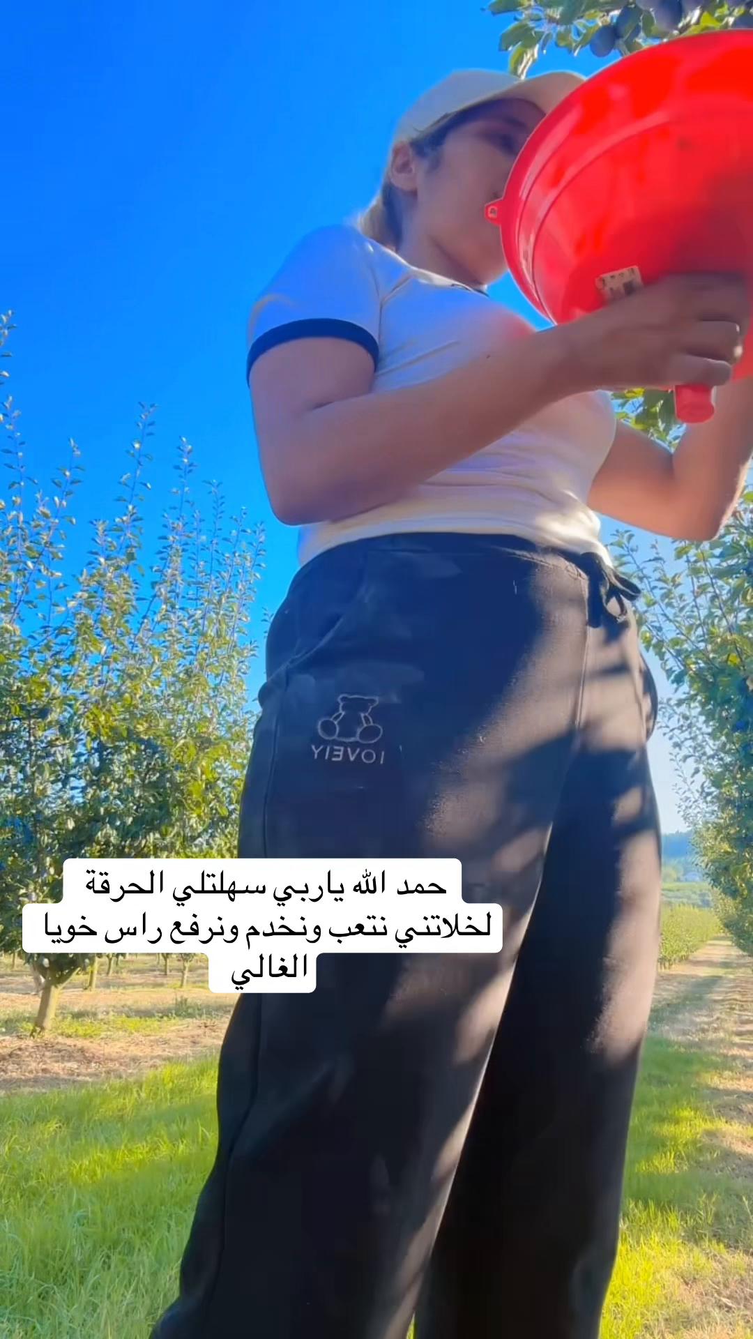 @haloula332