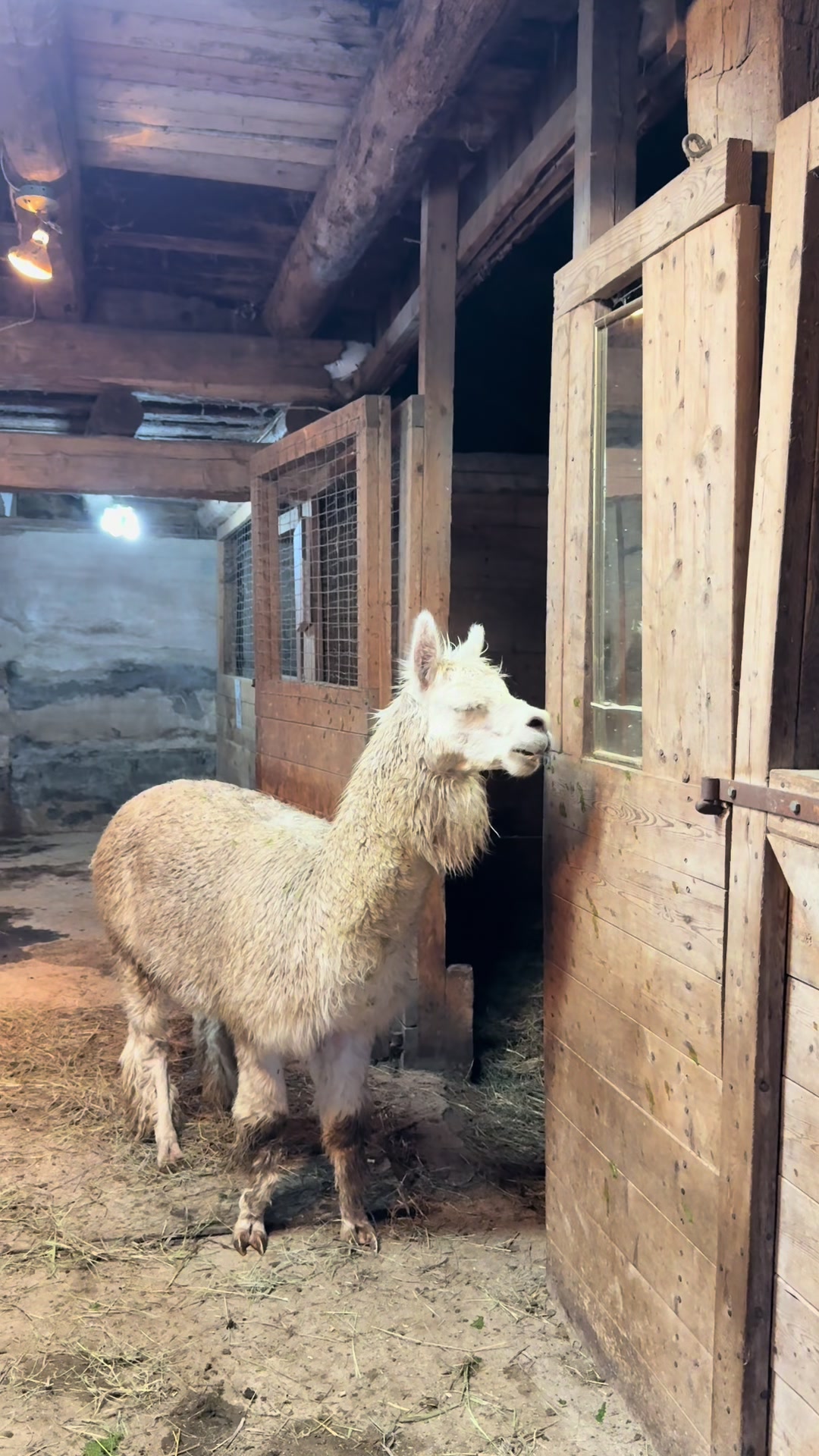 @Useless Farm
