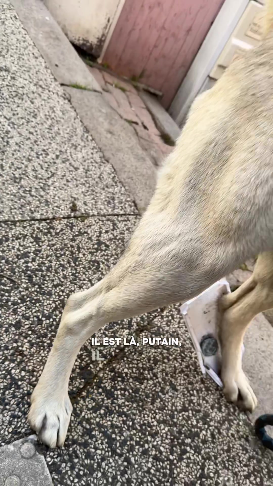 @Purekangal