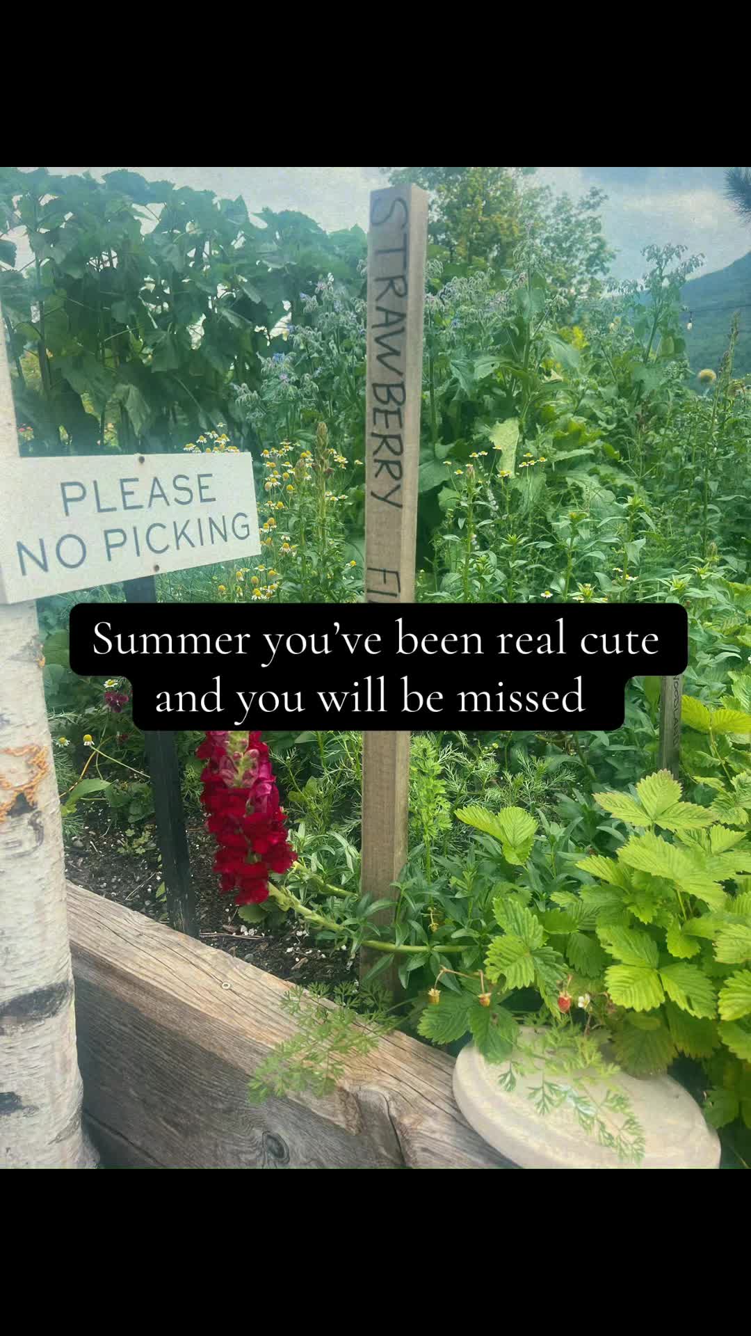 @Isobel