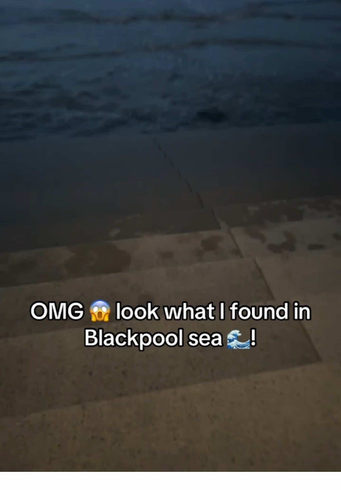 @BL4CKSjd