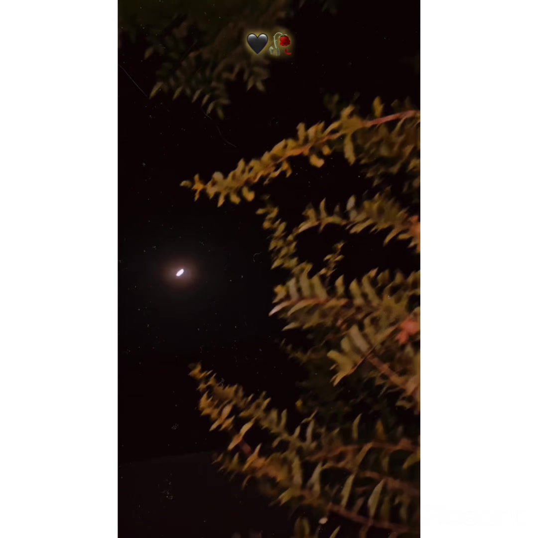 @𝐓𝐇𝐄𝐖 &bull;̀ᴗ&bull;́ 𓆩𝐍𝐎𝐌𝐈𓆪 🖤