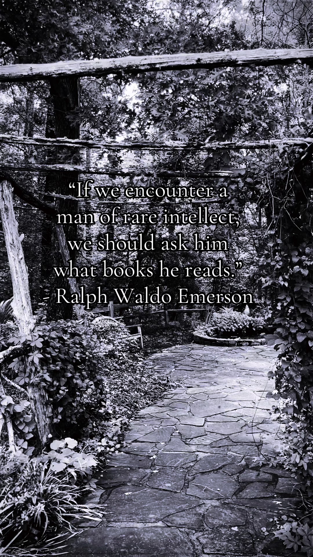 @Rook & Rowan Press