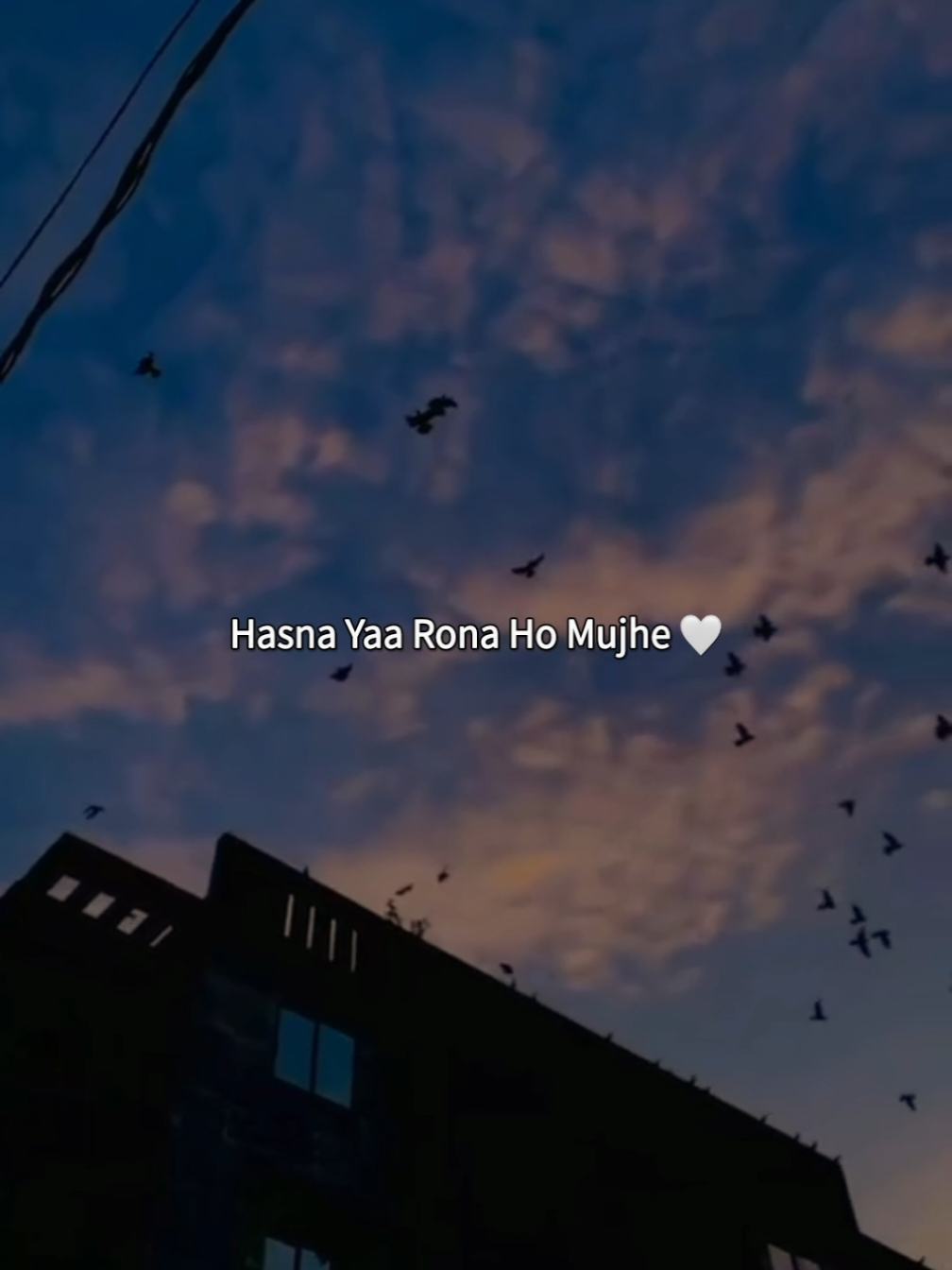 @𝗠𝗶𝗱𝗻𝗶𝗴𝗵𝘁 𝗦𝗼𝘂𝗹 🌙