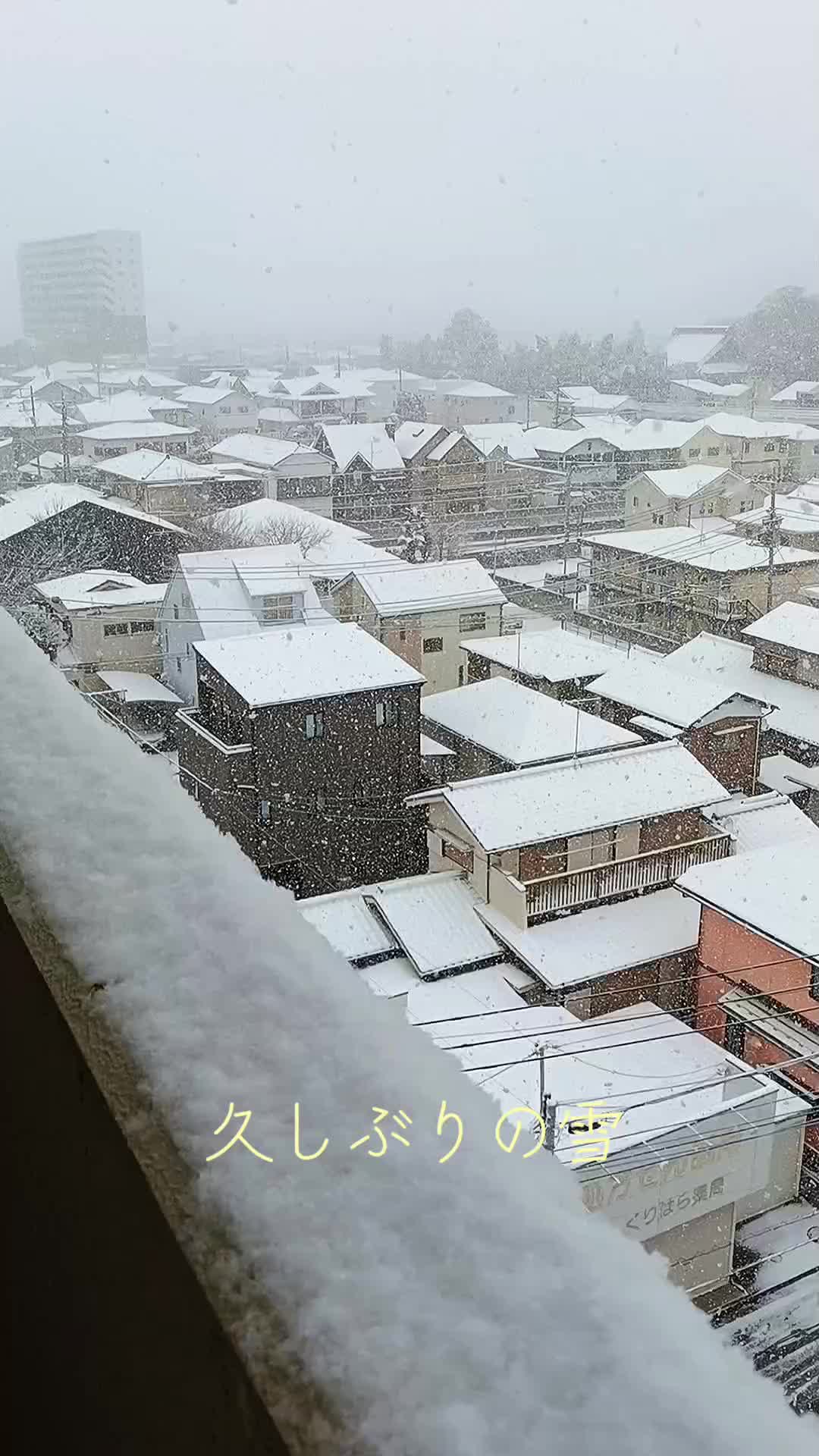 @âšðžç«å€åðžâš