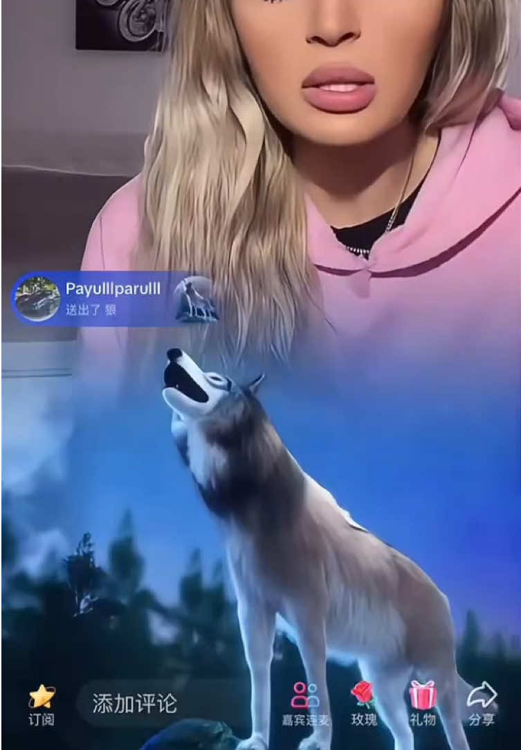 @payelllparulll