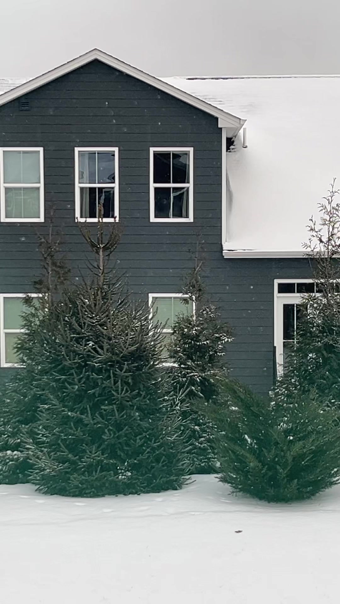 @claire.elyse