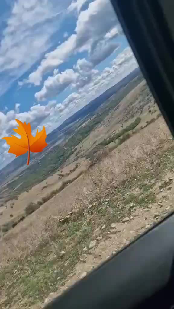 @OanaCarmen12