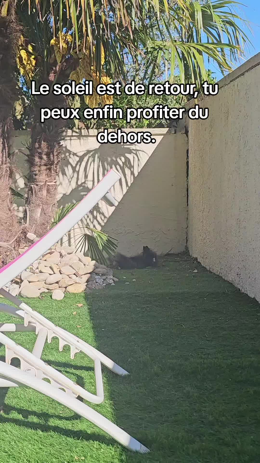 @Neïko Neïko
