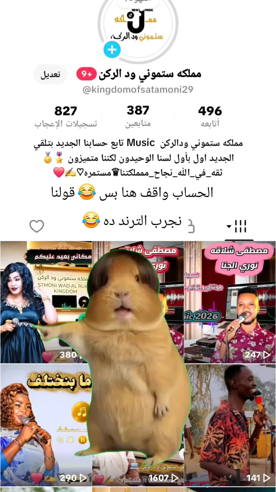 @مملكه ستموني ود الركن