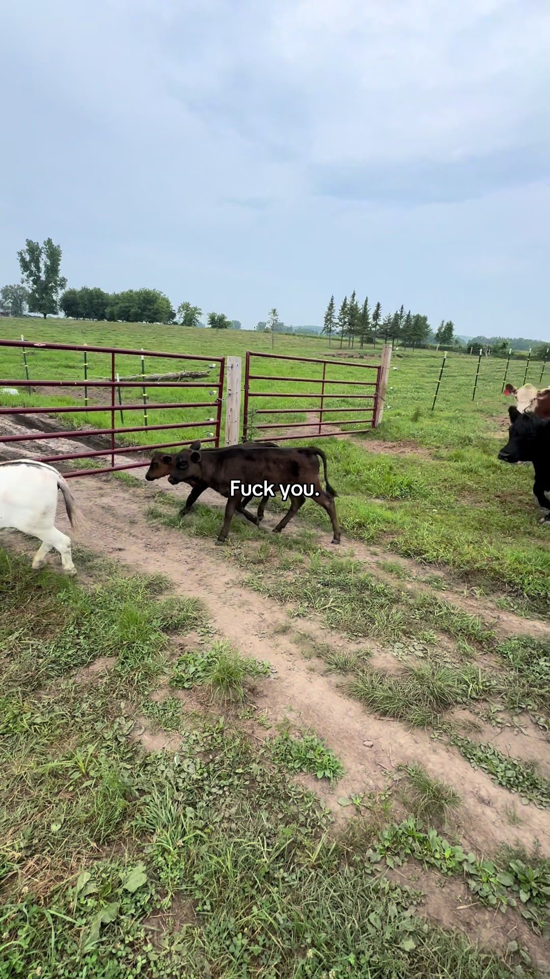 @Fuck you