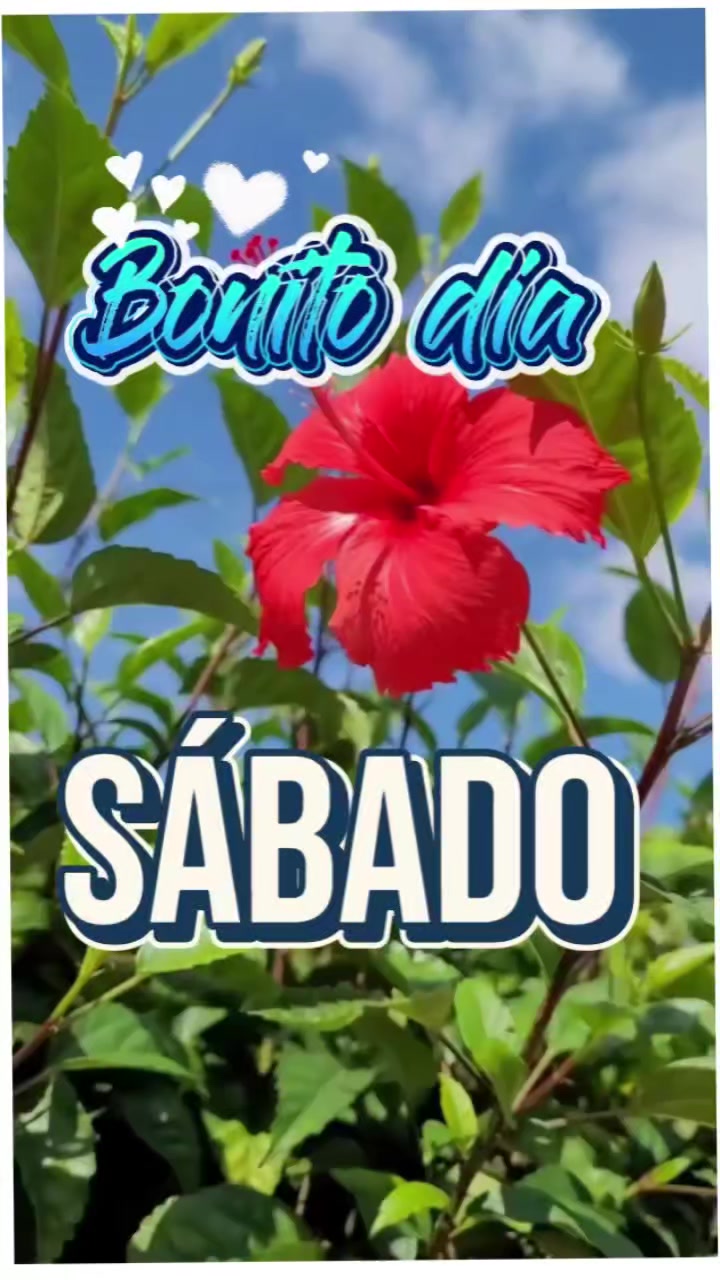 @Arely Mendoza Frases bonitas